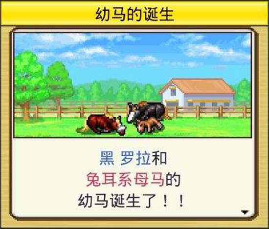 《赛马牧场物语》休闲赛马小游戏，模拟经营类游戏(图3)
