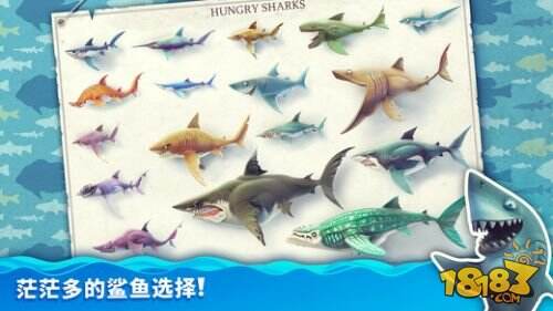 饥饿鲨：世界截图3