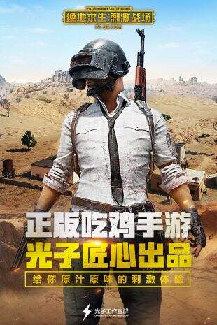 绝地求生:刺激战场截图1