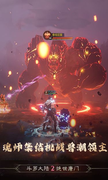 斗罗大陆2绝世唐门(双生武魂百万充)截图3