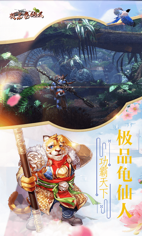极品龟仙人截图2