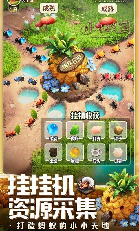 小小蚁国极速发育版截图4