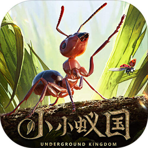 小小蚁国极速发育版