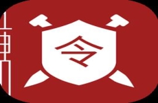 网元圣唐令软件