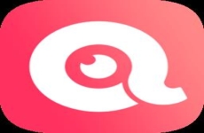 小象手游平台版